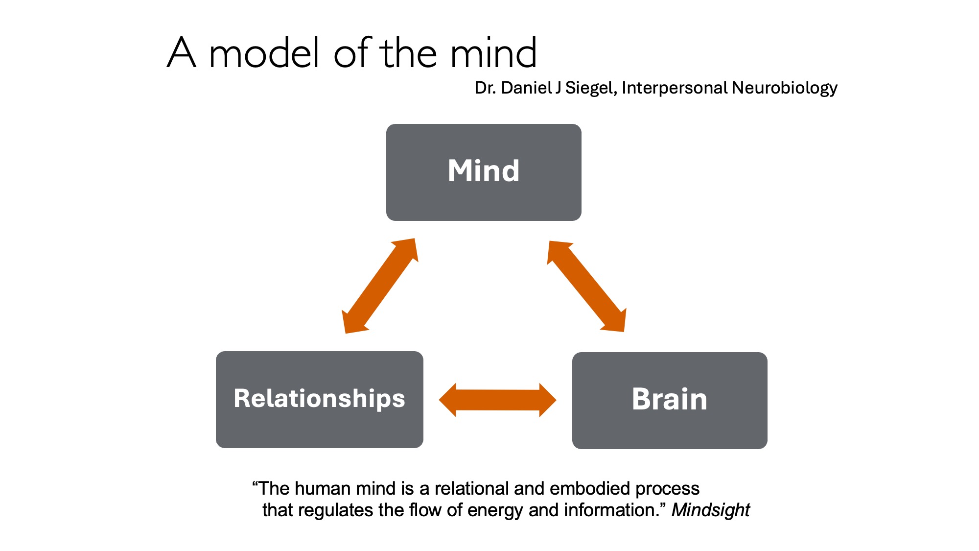 The Siegel Mind-Triangle: Emergent regulatory flow