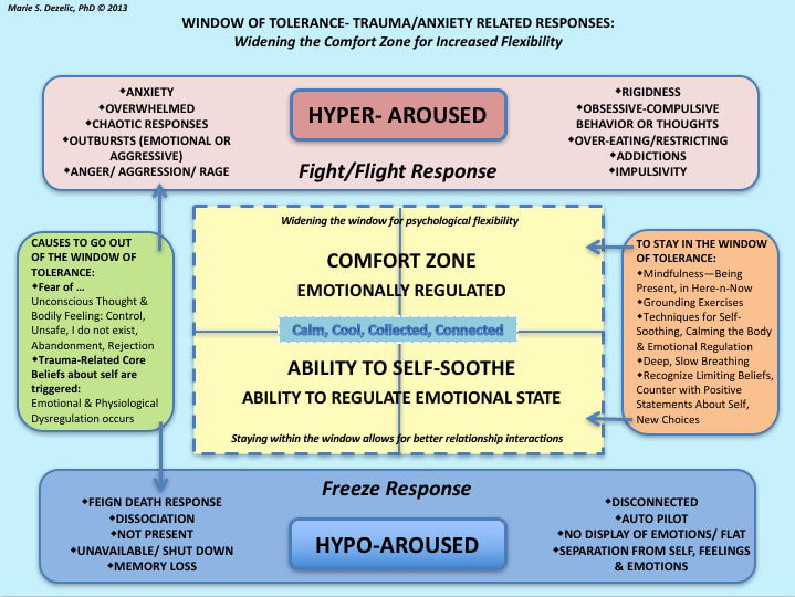 The Window of Tolerance: Sustaining regulatory capacity